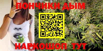 молекула духа Будённовск