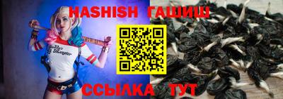 молекула духа Будённовск