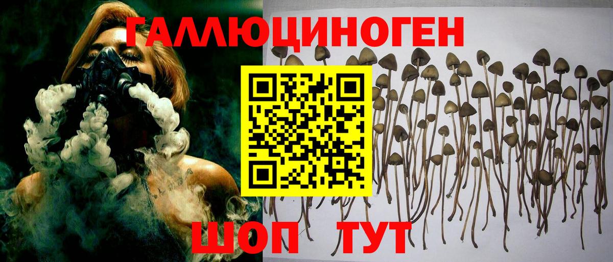 Галлюциногенные грибы ЛСД  Вход с VPN  где можно купить   Нальчик 